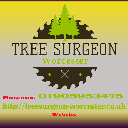 Image for Tree Surgeon Worcester with ID of: 3542743