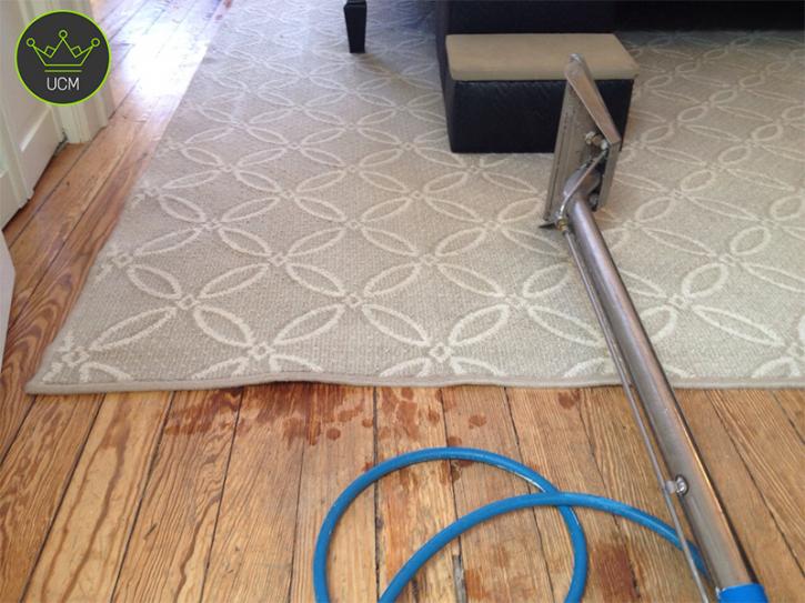 Image for UCM Carpet Cleaning Boca Raton with ID of: 3543443