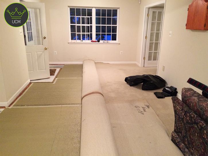 Image for UCM Carpet Cleaning Boca Raton with ID of: 3543445
