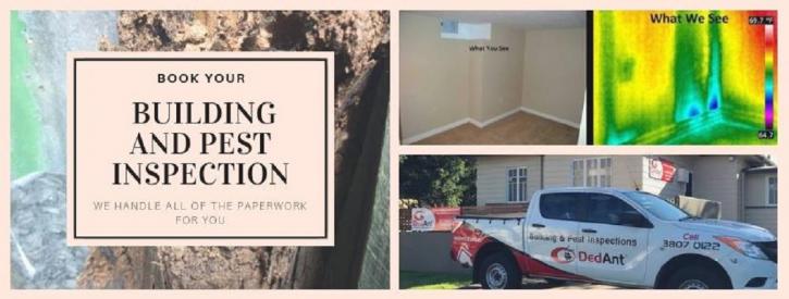 Image for DedAnt Building and Pest Inspections with ID of: 3543924
