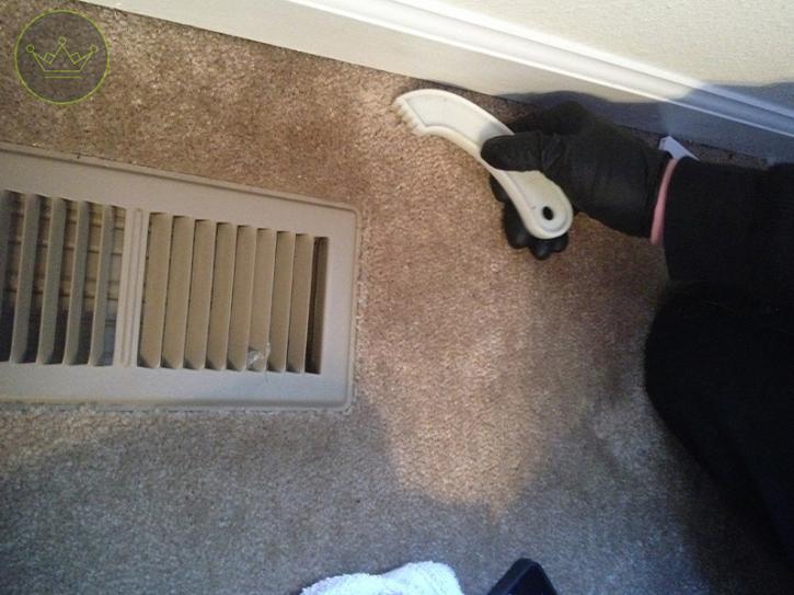 Image for Carpet Cleaning Hoboken with ID of: 3544378