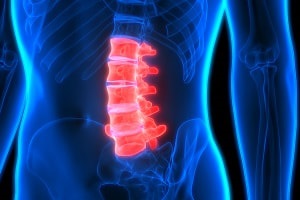 Image for Van Der Veer Chiropractic Care with ID of: 3547326