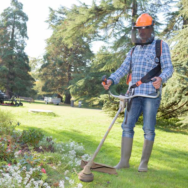 Image for Hanover Lawn Care Pros with ID of: 3549829