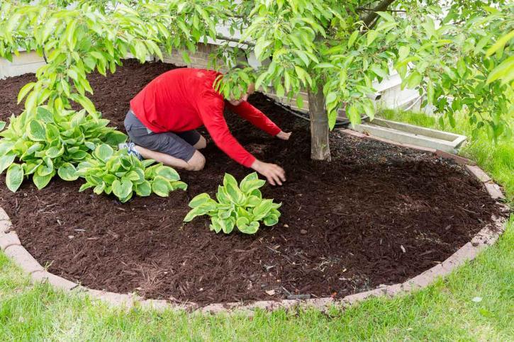 Image for Gettysburg Lawn Care Pros with ID of: 3549872