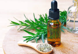 Image for Rosemary Extracts Market Segmentation Detailed Study with Forecast to 2026 with ID of: 3550063