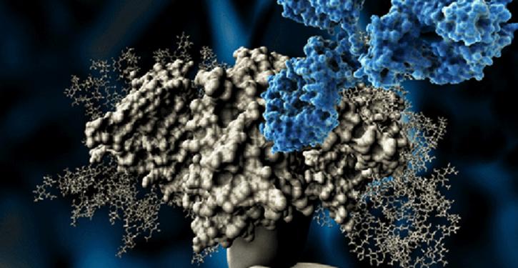 Image for anetumab ravtansine with ID of: 3550678