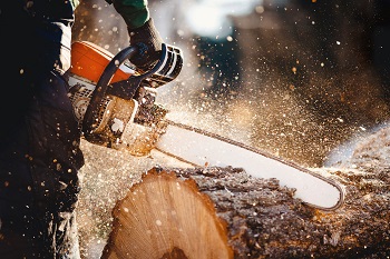 Image for Yonkers Tree Pros with ID of: 3550857