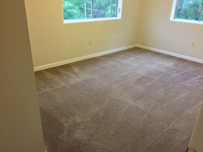 Image for CleanTex Carpet Services with ID of: 3551000
