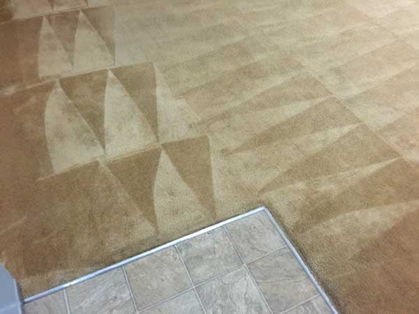 Image for CleanTex Carpet Services with ID of: 3551003
