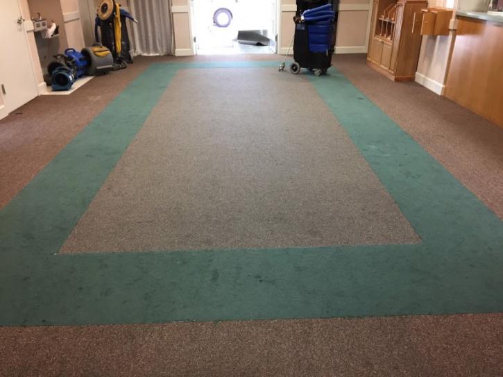 Image for CleanTex Carpet Services with ID of: 3551016