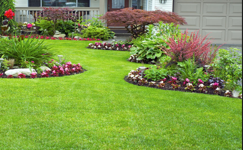 Image for Artificial Grass Installer  Toluca Lake with ID of: 3551526