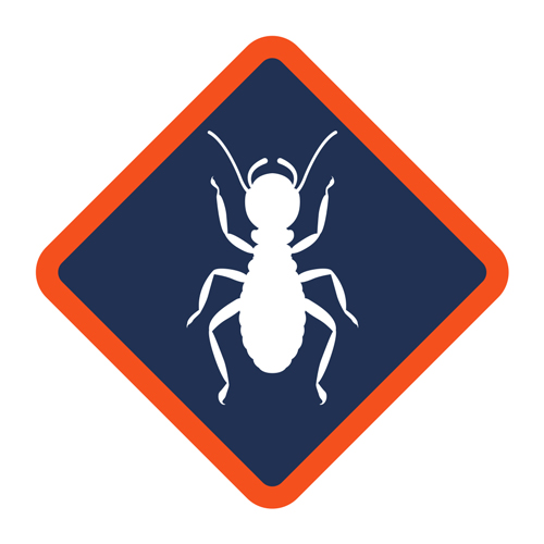Image for Affordable Termite Control - Santa Ana with ID of: 3554436