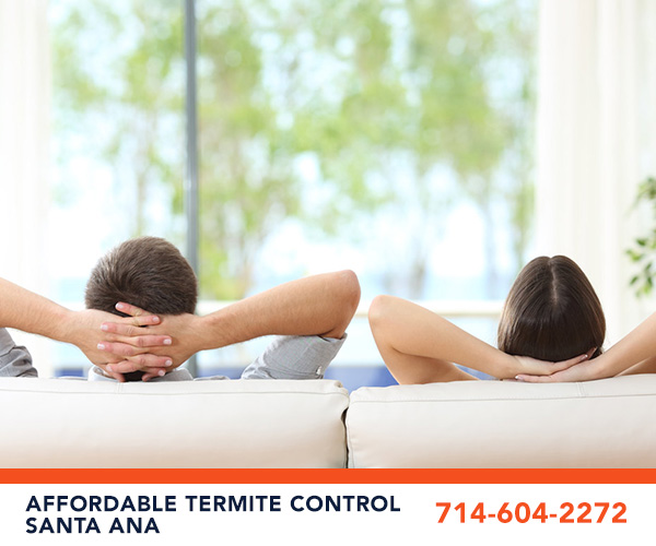 Image for Affordable Termite Control - Santa Ana with ID of: 3554446