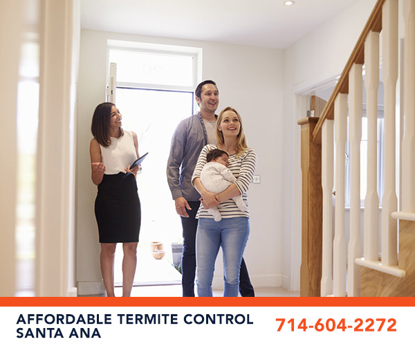 Image for Affordable Termite Control - Santa Ana with ID of: 3554447