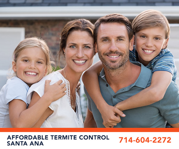 Image for Affordable Termite Control - Santa Ana with ID of: 3554448