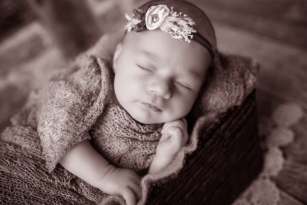 Image for Wagner Fotografie with ID of: 3554930