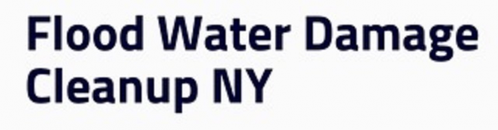 Image for Water Cleanup Long Island with ID of: 3556097