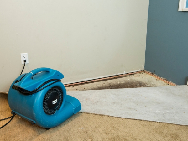 Image for Water Cleanup Long Island with ID of: 3556107