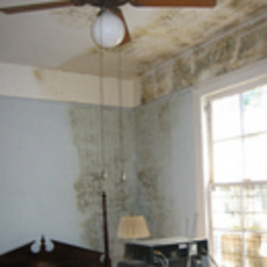 Image for Water Cleanup Long Island with ID of: 3556111