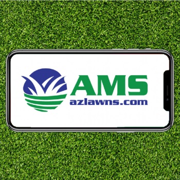 Image for AMS Landscaping with ID of: 3557314