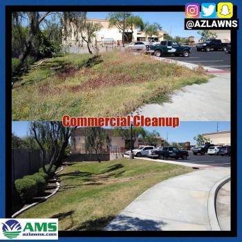 Image for AMS Landscaping with ID of: 3557336