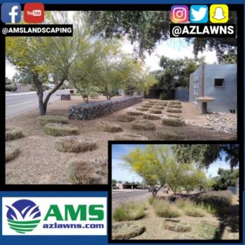 Image for AMS Landscaping with ID of: 3557339