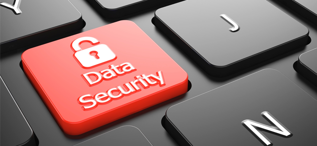 Image for Data Security Tips with ID of: 3559079