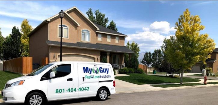Image for My Guy Pest and Lawn Solutions with ID of: 3559457