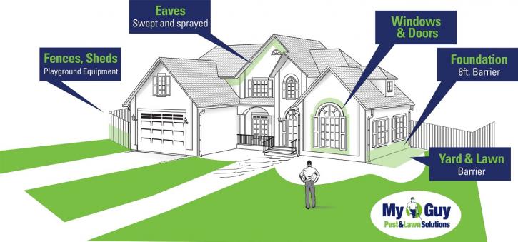 Image for My Guy Pest and Lawn Solutions with ID of: 3559458