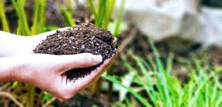 Image for Biochar Market Study By Technology, Application & Top Key Players - Agri-Tech Producers, LLC, ArSta Eco, Biochar Products, Inc., Biochar Supreme, LLC with ID of: 3561275