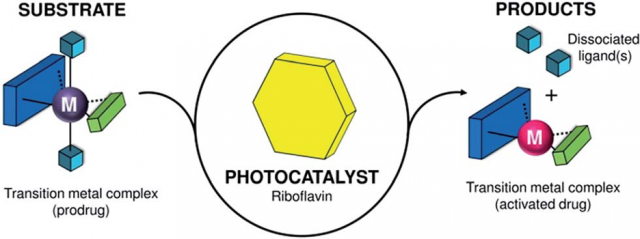 Image for Photocatalyst Market Study By Material, Application & Top Key Players - CRISTAL, Green Millennium, Ishihara Sangyo Kaisha, Ltd., JSR Corporation, Kronos Worldwide, Inc. with ID of: 3561376