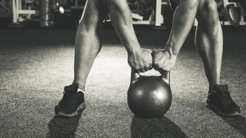 Image for Workouts in the Gym with ID of: 3561862
