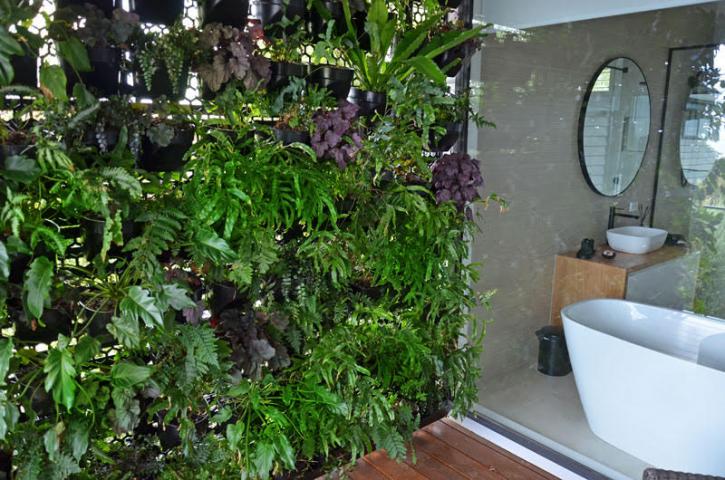 Image for Vertical Gardens South Melbourne with ID of: 3562417