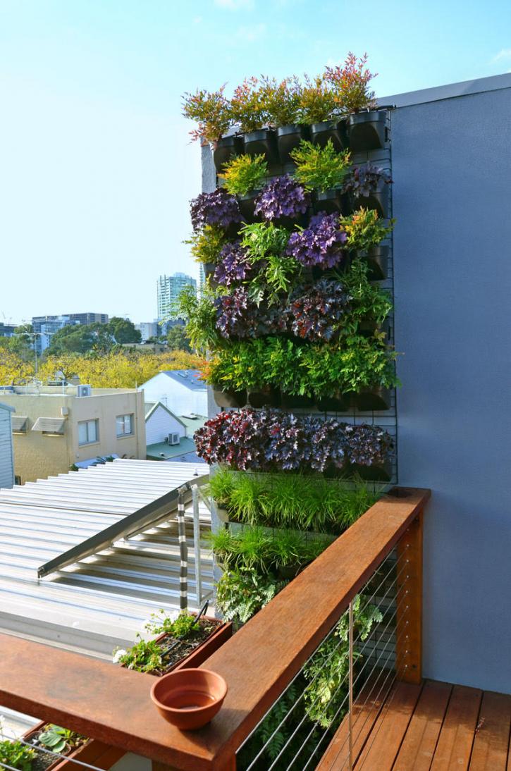 Image for Vertical Gardens South Melbourne with ID of: 3562418