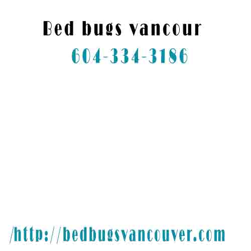 Image for Bed Bugs Vancouver with ID of: 3562522