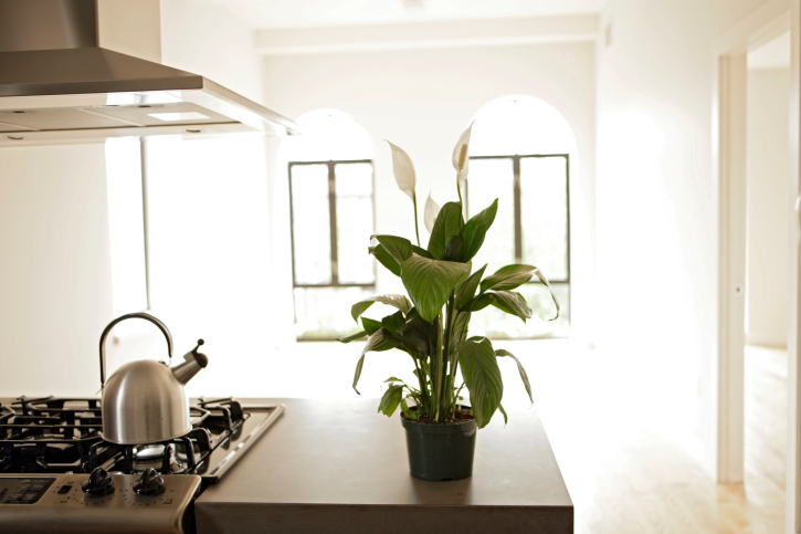 Image for District Building Maintenance LLC with ID of: 3564327