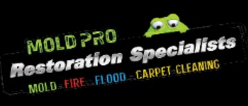 Image for Mold Pro Water Removal Queens with ID of: 3564490