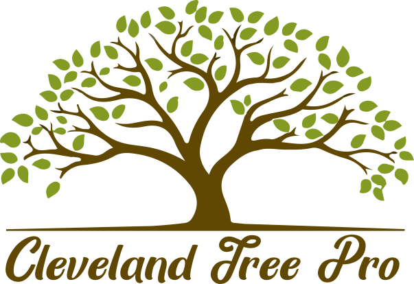 Image for Cleveland TN Tree Pro with ID of: 3564631