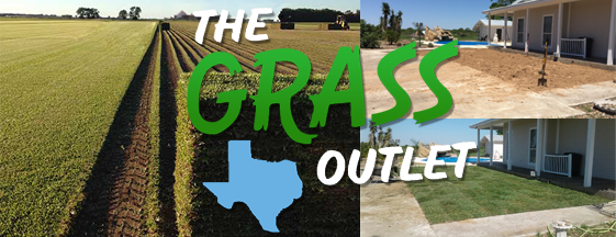 Image for The Grass Outlet with ID of: 3565113