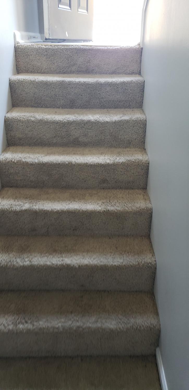 Image for Top Carpet Cleaner with ID of: 3565234