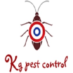Image for Kg Pest Control with ID of: 3565954