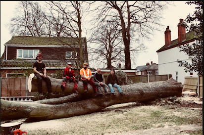 Image for Clee Tree Services with ID of: 3566904
