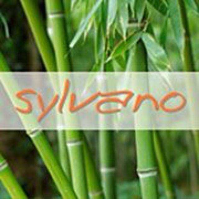 Image for Sylvano Miami Beach with ID of: 3567834