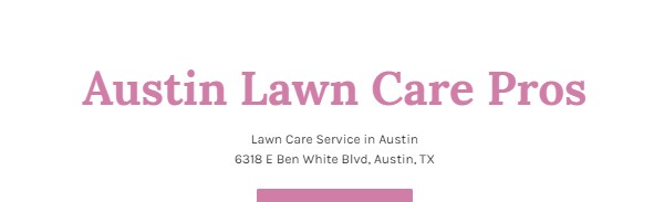 Image for Austin Lawn Care Pros with ID of: 3568351