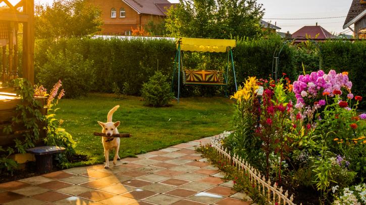 Image for Austin Lawn Care Pros with ID of: 3568354