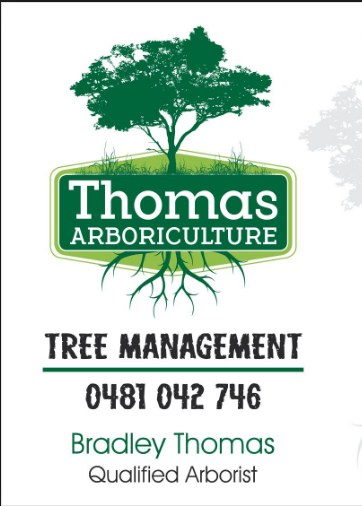 Image for Thomas Arboriculture with ID of: 3569229