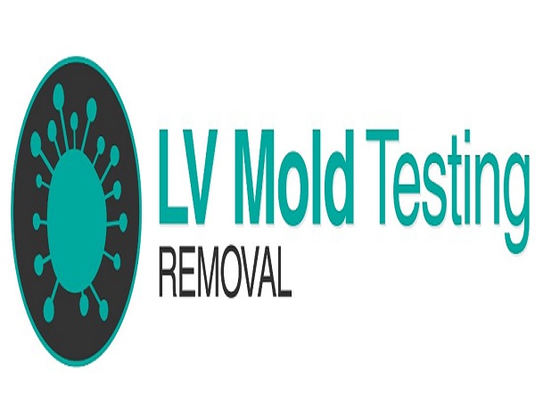 Image for LV Mold Testing Removal with ID of: 3569514