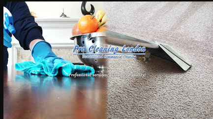 Image for Pro Cleaning London with ID of: 3569668