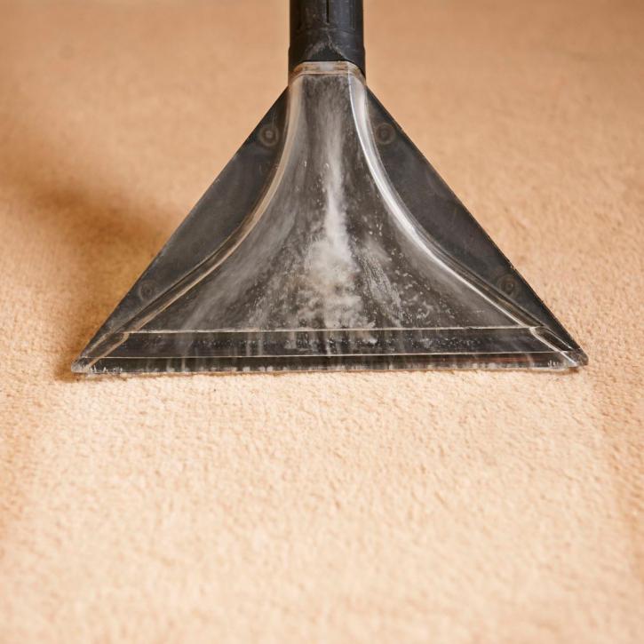 Image for Carpet Experts with ID of: 3571919