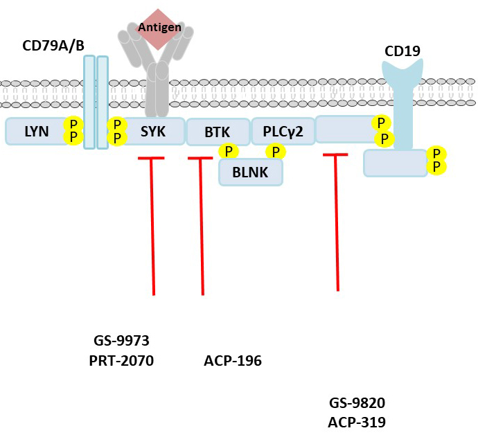 Image for 700 nm with ID of: 3574409